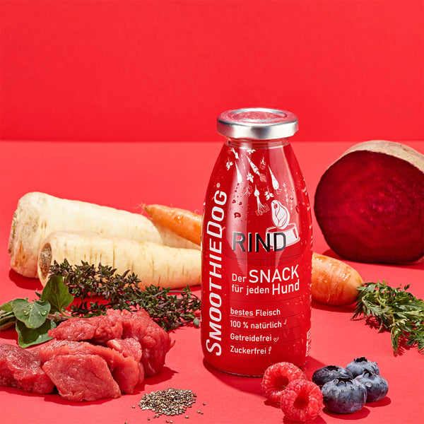 SmoothieDog Телешко