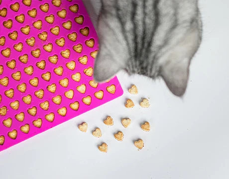 Котешки лакомства със SmoothieCat