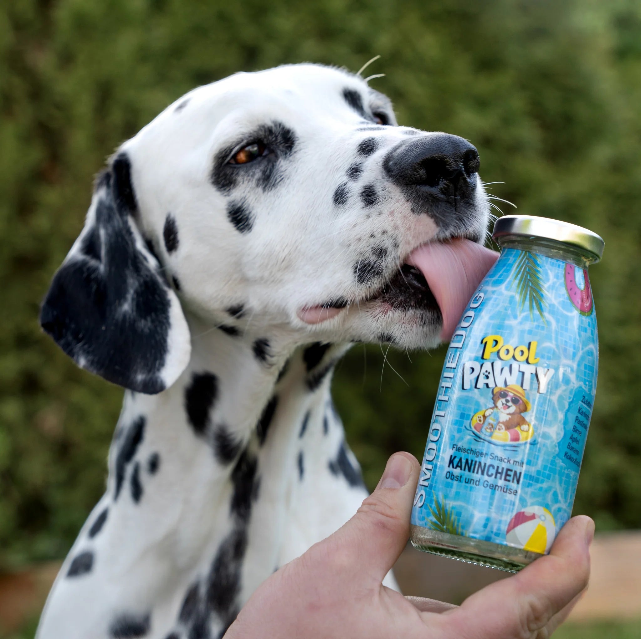 Бутилка SmoothieDog Summer-Edition Pool Pawty с заешко месо