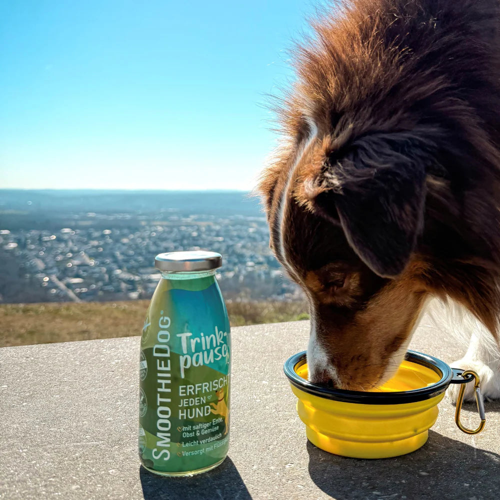 Силиконова купичка с карабинер