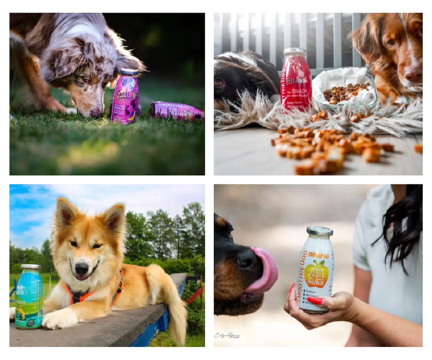 SmoothieDog - Смутито за кучета