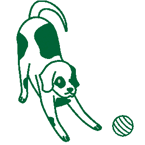 Разнообразие