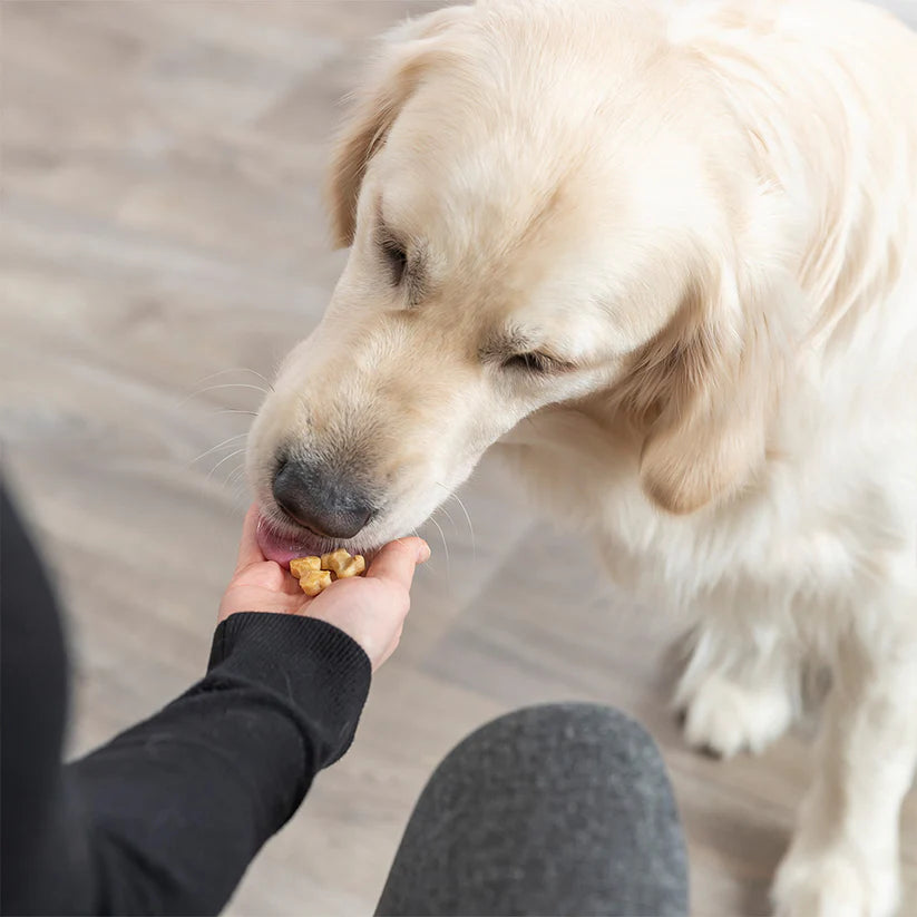 Форма за печене