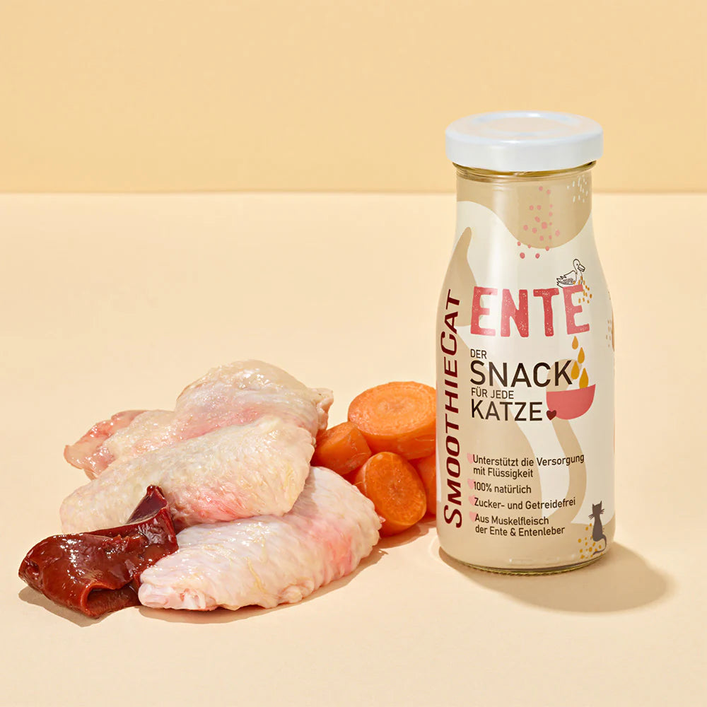 SmoothieCat Патешко